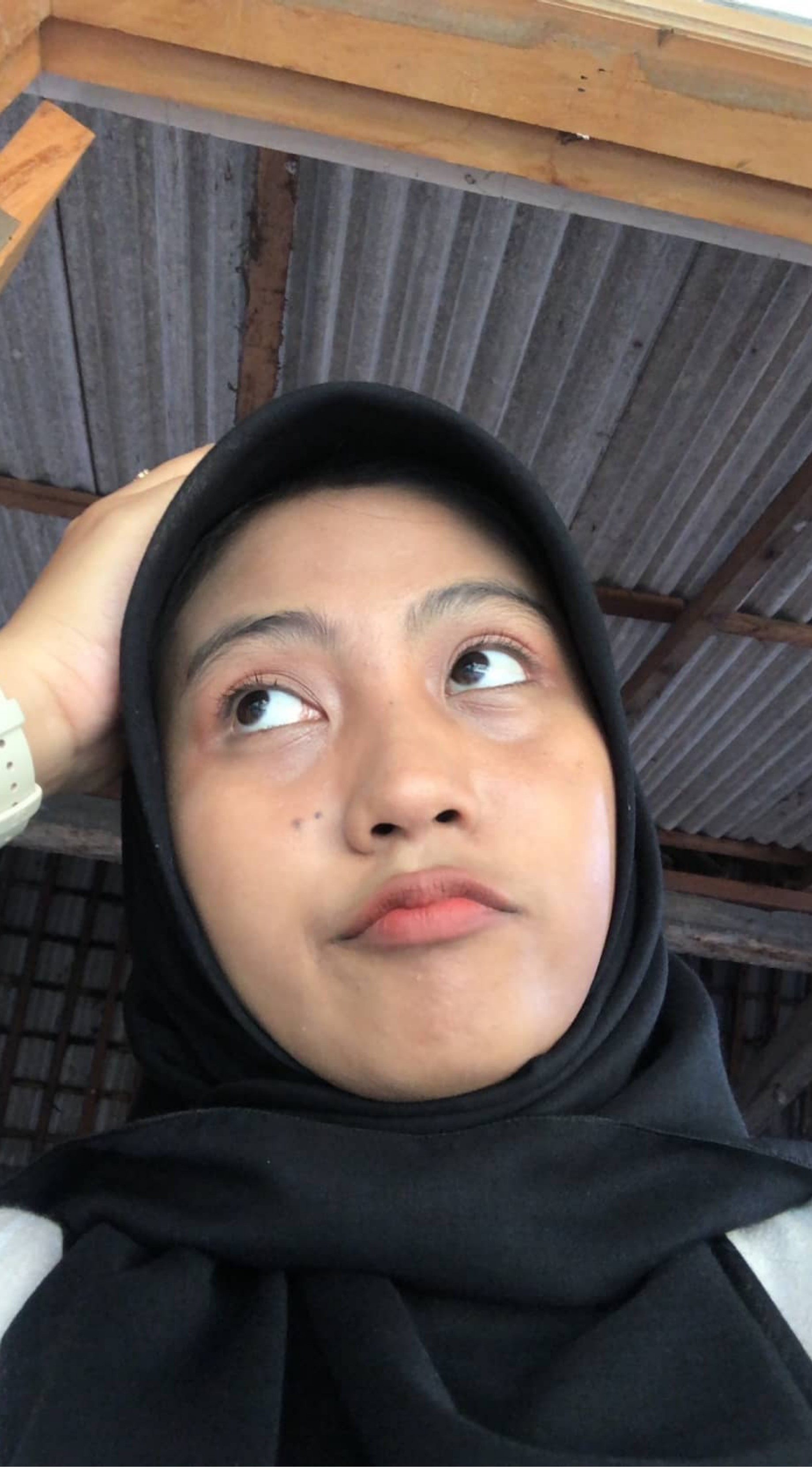 Placeholder image of a forest with tall trees and sunlight filtering through